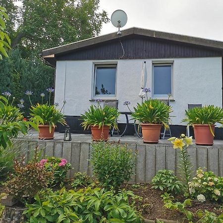 Ferienhaus Appold Wernigerode Εξωτερικό φωτογραφία