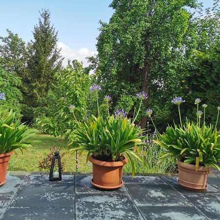 Ferienhaus Appold Wernigerode Εξωτερικό φωτογραφία