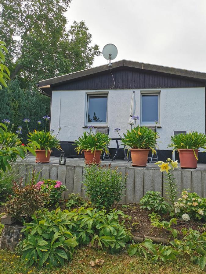 Ferienhaus Appold Wernigerode Εξωτερικό φωτογραφία